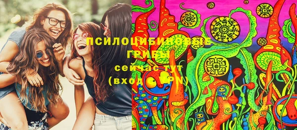 сатива Покровск