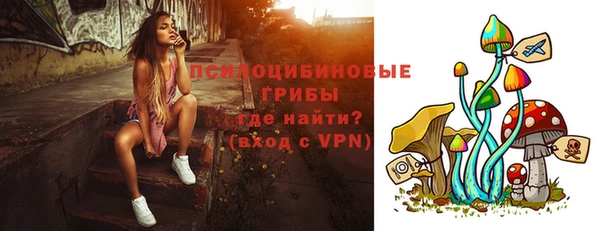 сатива Покровск
