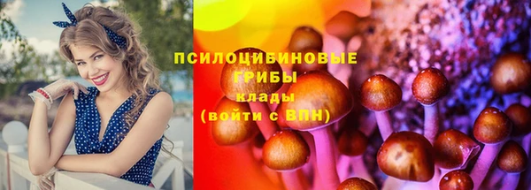 твердый Покачи
