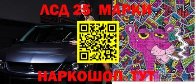 крисы Новокубанск