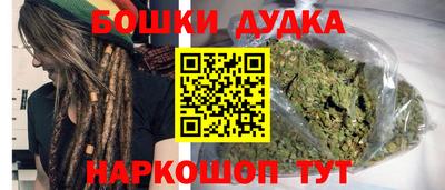 крисы Новокубанск