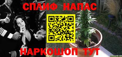 каннабис Новозыбков
