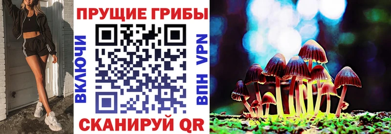 Псилоцибиновые грибы ЛСД  Сертолово 