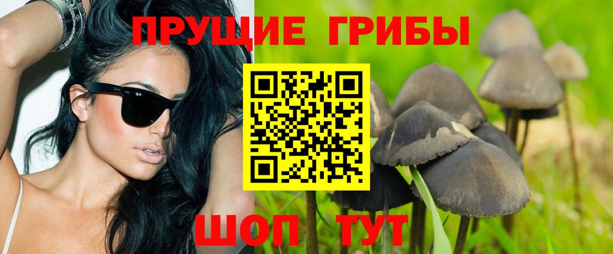 Галлюциногенные грибы Cubensis Сертолово